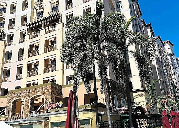 One Palm Tree