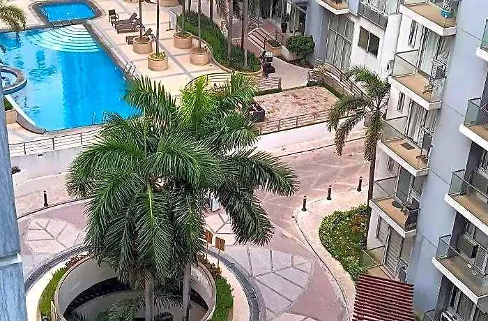 One Palm Tree